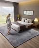 Indoor Plush Area Rugs, 2.44 X 3.05m Soft Plush Carpet, Furry Shag Area Rugs for Living Room, Bedroom, Sunroom, Modern Home Decor Aesthetic,