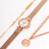Diyuamoleu Women'S Mesh Band Watch Daw3201M-Rw Diamond Watch