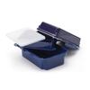 Miyoshi Seisakusho GEL-COOL Lunch Box with Integrated Ice Pack, Berry BL Deli, 2-Tier, 0101-0190