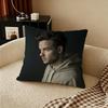 L-Liam Payne Cushion Cover Natural Linen Pillowcase Set, All-In-One Decor For Sofa, Bedroom & Chair