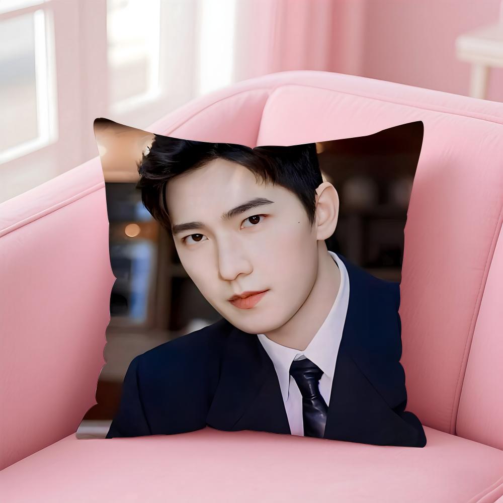 actor handsome YYang Yang Cushion Cover Pillow Case Soft Skin Friendly Fabric  Concealed Zipper