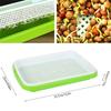 1PC Seed Sprouter Tray  Wheatgrass Sprouting Pot Planter Soilless Bean Culture Hydroponic Nursery Plate Cat Grass Bonsai Seeds