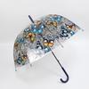 Korean Style Transparent Apollo Princess Mushroom Umbrella