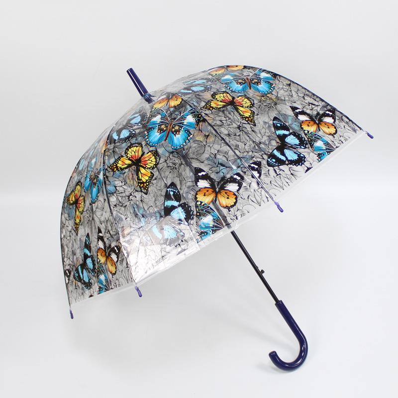 Korean Style Transparent Apollo Princess Mushroom Umbrella
