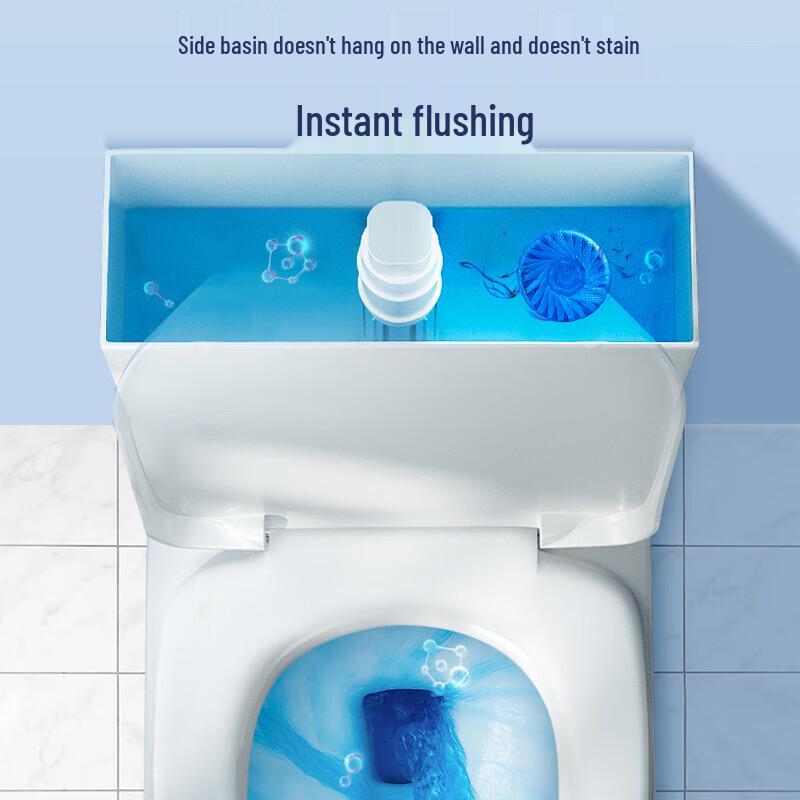 Green Source Toilet Cleaner Blocks