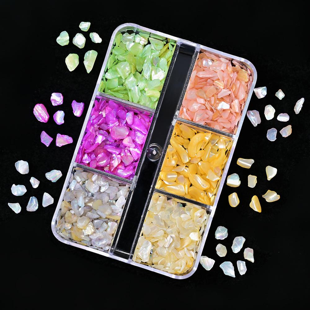 12 Grids Abalone Seashell Nail Art Slices Holographic 3D Mermaid Irregular Nail Art Glitter Flakes Manicure Sparkly Decoration T