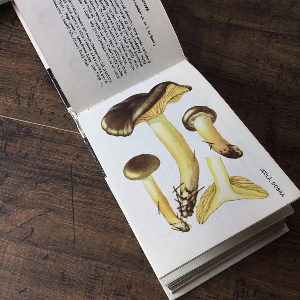 [USED] Foreign books, mushroom encyclopedia, Czech vintage books, junk journal
