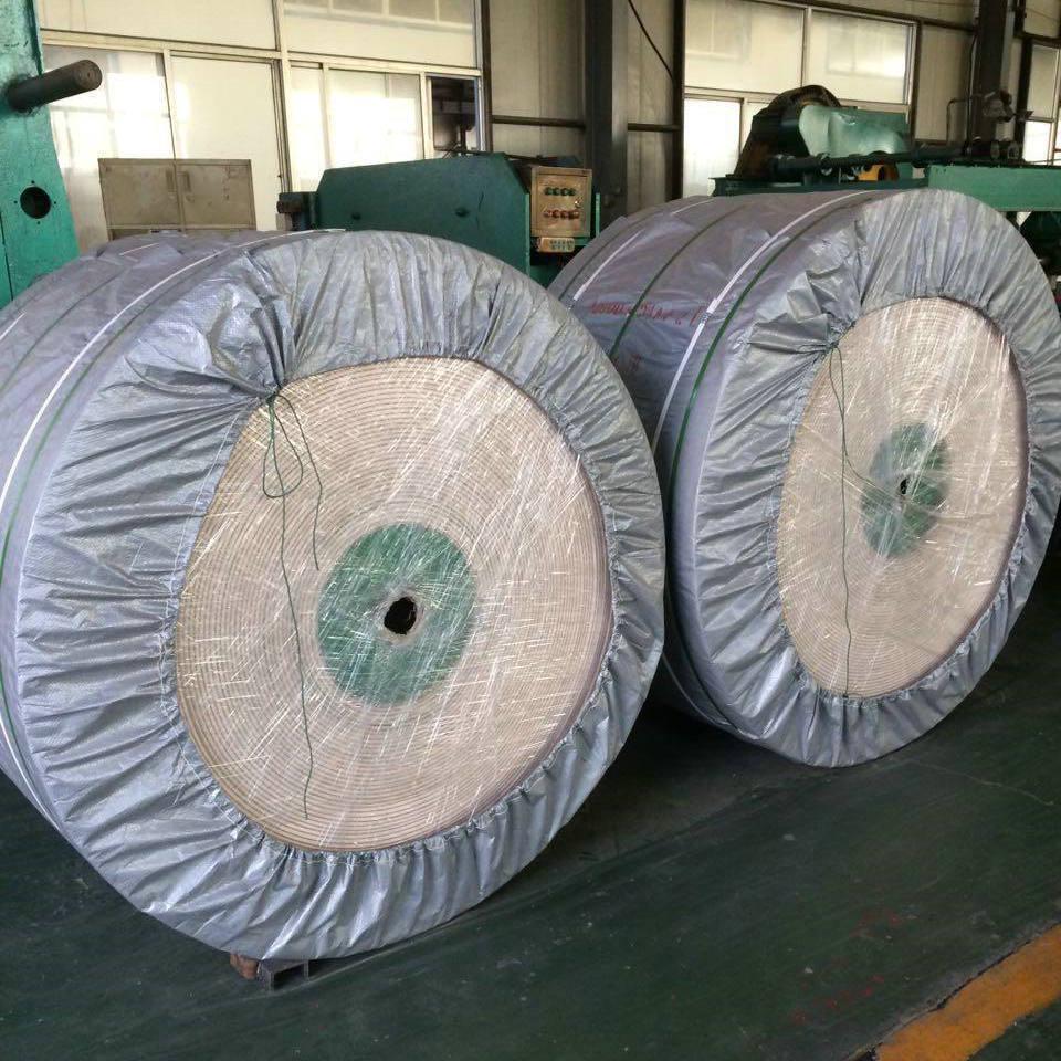 High-Temperature Resistant Nylon Conveyor Belt - Industrial, Anti-Slip, Wear-Resistant, Flame Retardant, Customizable, Endless Design