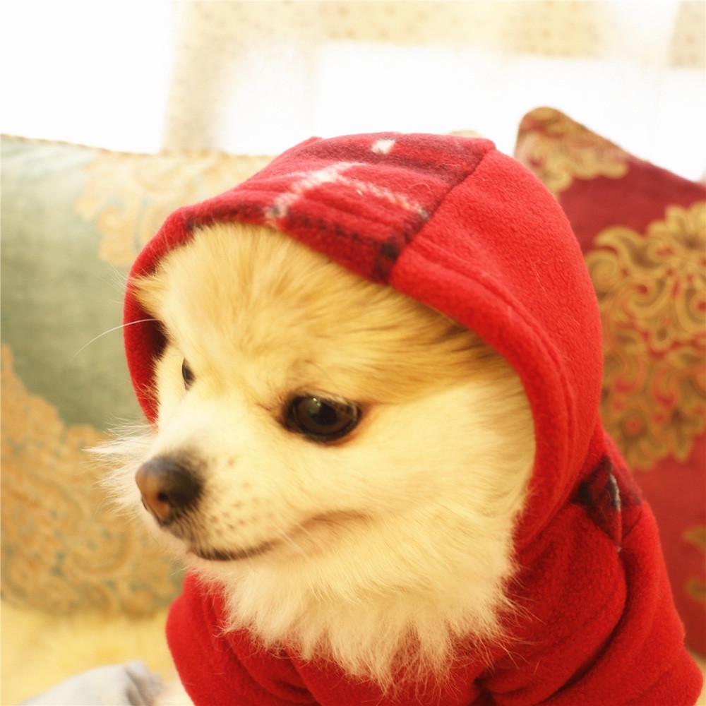 Bevissthet Hunde Kjæledyr Klær Hettegenser Varm Fleece Valpefrakk Klær (svart, størrelse: XS-XL)