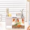 Plastic Amphibious Ecological Tank Small with Cover and Rabbit Ornaments Fish Tank Multi-functional Transparent Goldfish Bowl