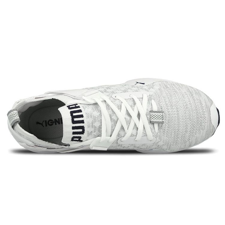Puma Ignite Evoknit Lo Simple Solid Low-Top Casual Shoes Women Sneaker White 189905-02