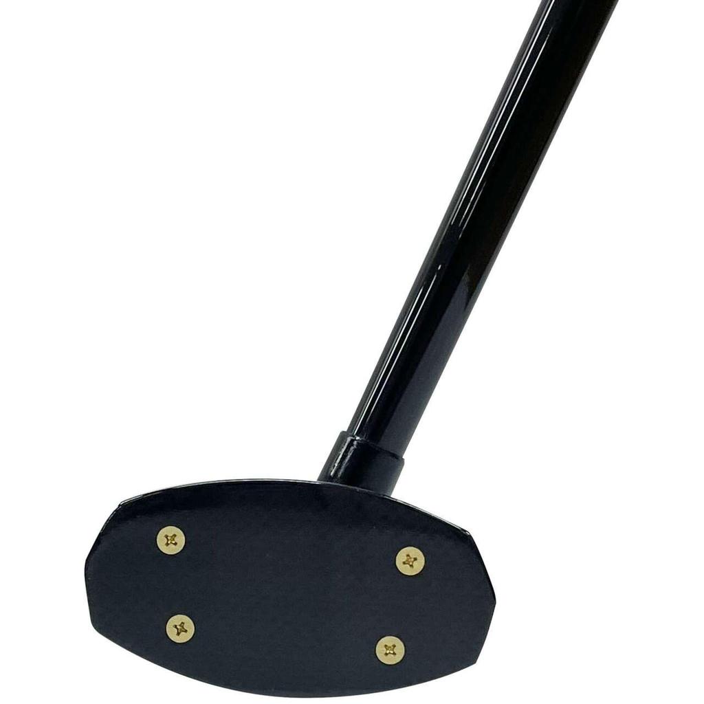 MIZUNO Park Golf Club PG01 for Beginners and Black C3JLPC25, Unisex, Right-Handed, Beginners,