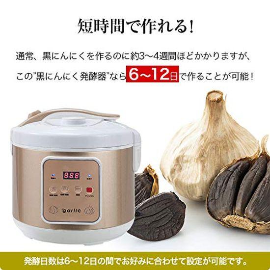 Marine Shoji Easy Black Garlic Fermenter DX At Home Ki-00239