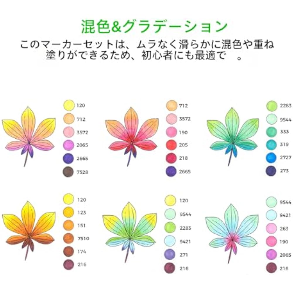 Ohuhu Marker Pen Brush Type 48 Color Beginner Brush/Bold Illustration Marker Triangular Shaft Ble...