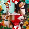 Christmas Small Dogs Collar Attachment Bow Ties Xmas Parties Puppies Cats Collar Charms Accessories Slides Bowties Assorted