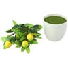 Artificial LemonTree Artificial Artificial Potted Plants for Home and Office Decor Realistic Look and Easy To Maintain