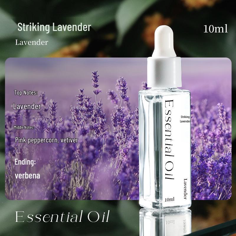Luxury Aromatherapy Essential Oil Plaster: Long-Lasting Bedroom & Bathroom Fragrance, Odor Eliminator