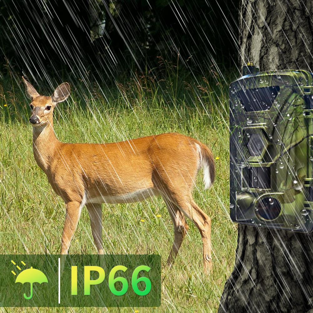 New 4G 4K 60MP Infrared Wildlife Camera with Night Vision - Model PR802LTE