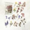 40pcs/bag Vintage Ginkgo Leaves Flowers PET Sticker Package DIY Diary Decoration Sticker Album Scrapbooking