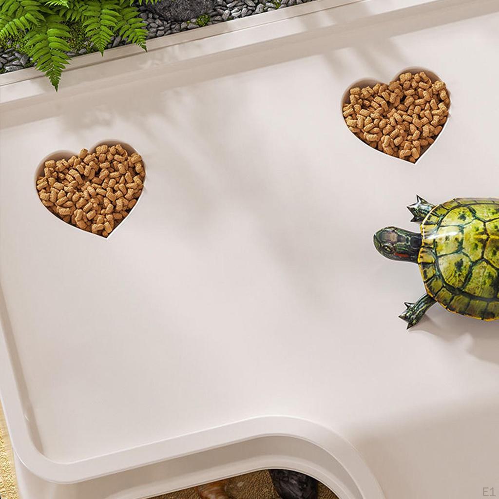 Aquarium for S, Reptile Habitat with Cover, Multifunctional Resting Platform