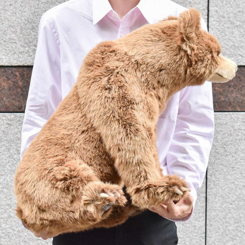 Braunbär Nr. 5731