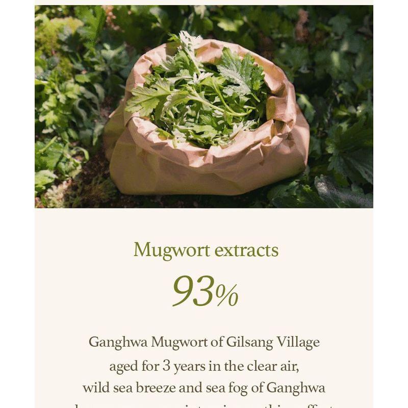 I'm from - Mugwort Sheet Mask Set