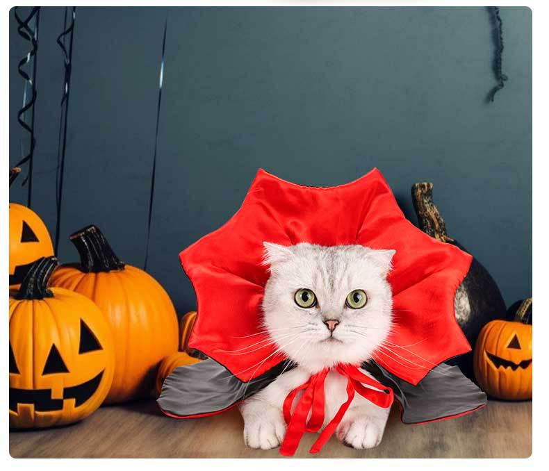 Funny Halloween Magic Cloak Costume for Cats and Dogs