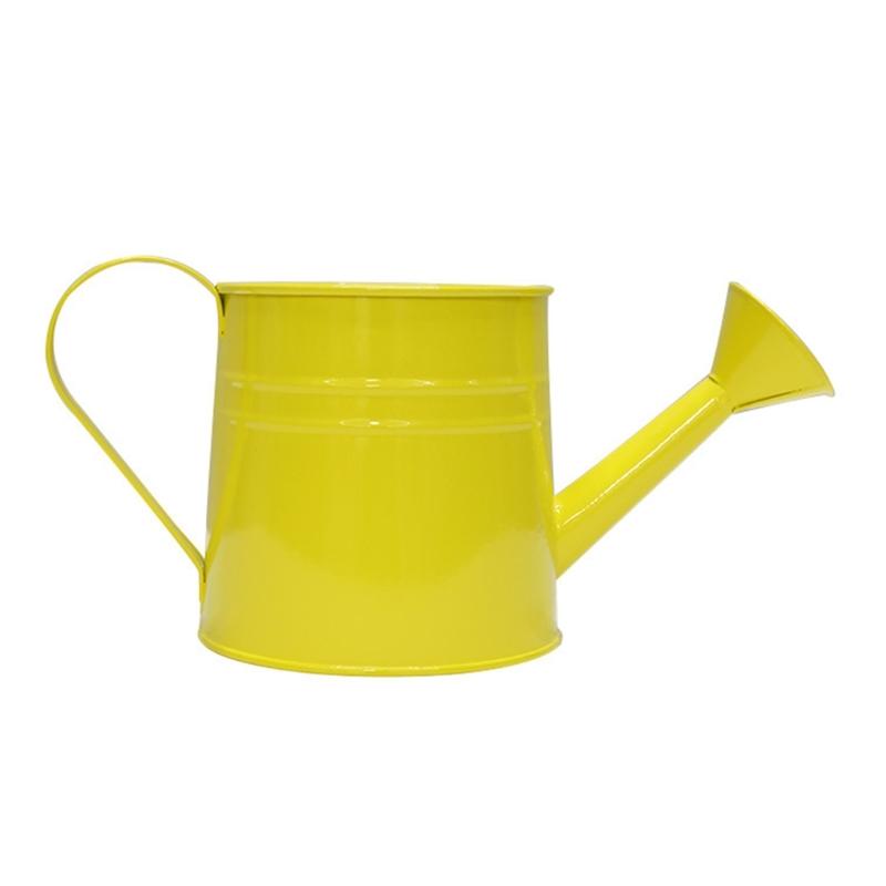 Vintage Iron Watering Can Planter Convenient Metal Container Perfect As a Flower Pots or Office Decoration