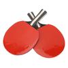 2pcs Table Tennis Racket Table Tennis Paddle with 3pcs 3 Star Professional Table Tennis Balls for