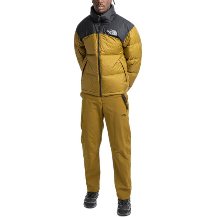 THE NORTH FACE 1996 Retro Nuptse Jacket NF0A3C8D5-HO1