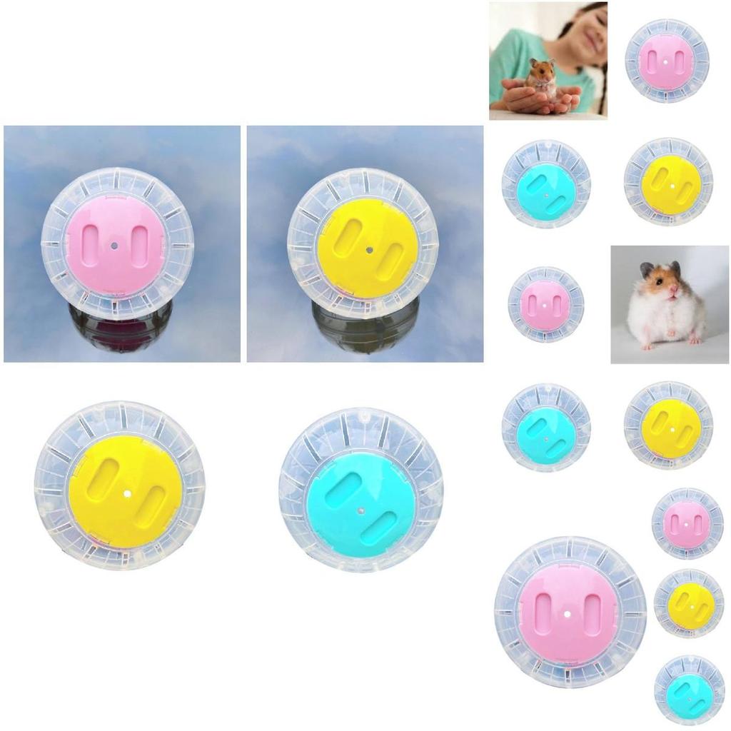 Giocattolo Fitness Colorato per Criceti Sfera Trasparente in Plastica per Roditori per Correre ed Esercizio