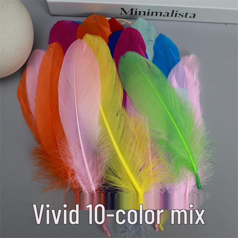 Barevná barvená velká husí pera pro DIY řemesla, ručně vyráběné dekorace a projekty pro mateřské školy