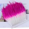 10-15Cm Two-Color Ostrich Hair Cloth Edge Clothing Accessories Diy Material High-Quality Ostrich Hair Lace Skirt