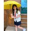 Summer School JK Uniform: Academy Style Pleated Skirt & Short Sleeve Shirt Set