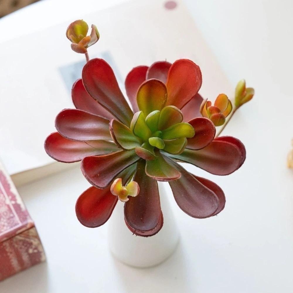 Fleshy Fake Cactus Lifelike Simulation Bonsai Plant Artificial Succulent Plant  Home Office Decor