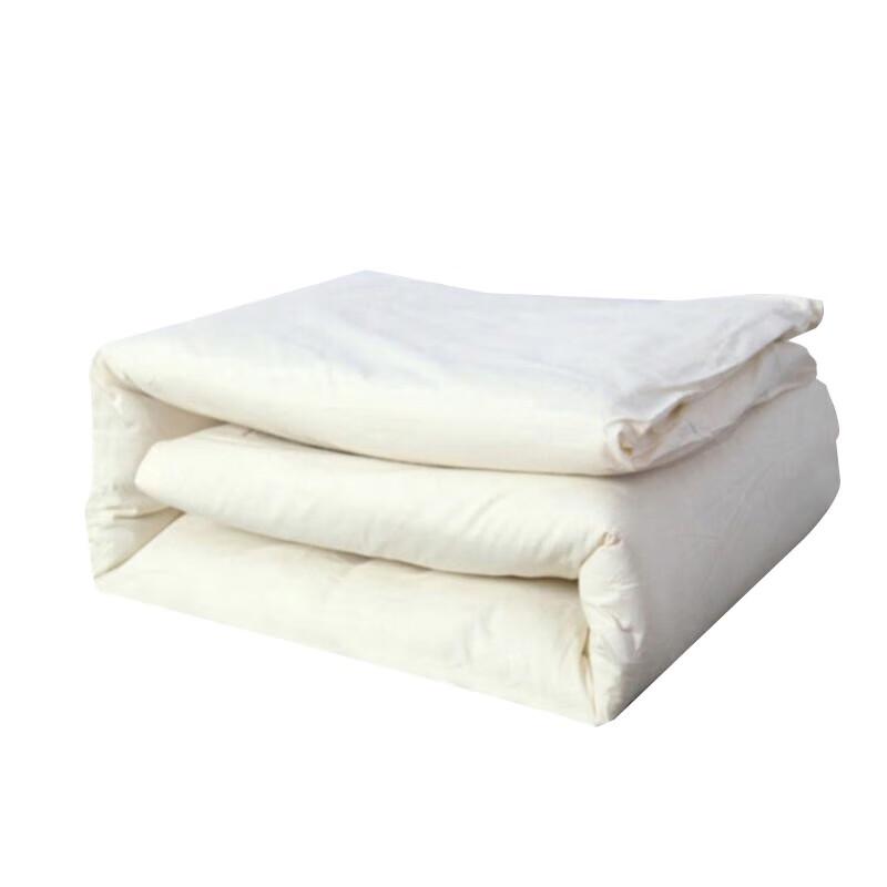 Portable Moisture-Proof Training Mattress Pad