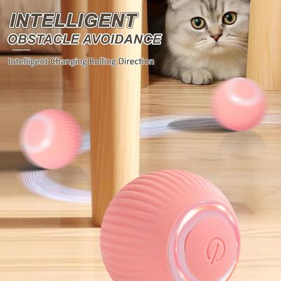 Kedi – Kedi Oyuncakları