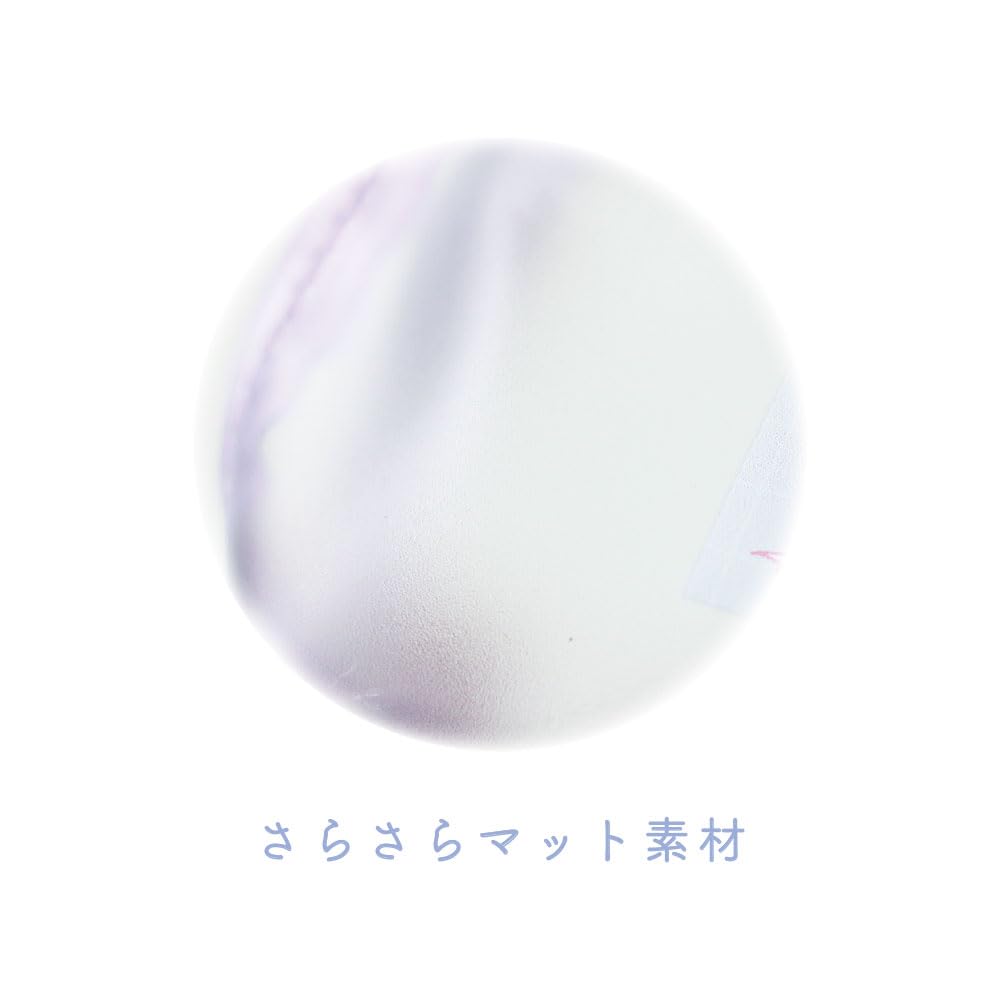 Tees Factory Sanrio Characters Clear Matte Ballet H120 X W160 X Pouch, Core/Cinnamoroll, D50mm, SR-5544414CR