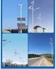 Lingfengda S-Type 100W 12/24V Micro Wind Turbine for Lighting Projects