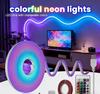 RGB LED Silicone Neon Strip with 24-Key Controller