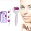 Roller 6 Derma In 1 Titanium Micro Needle Anti Ageing Facial Skin Care Tool Set