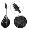 IRIN Tibetan Eight-String Ethnic Mandolin Instrument