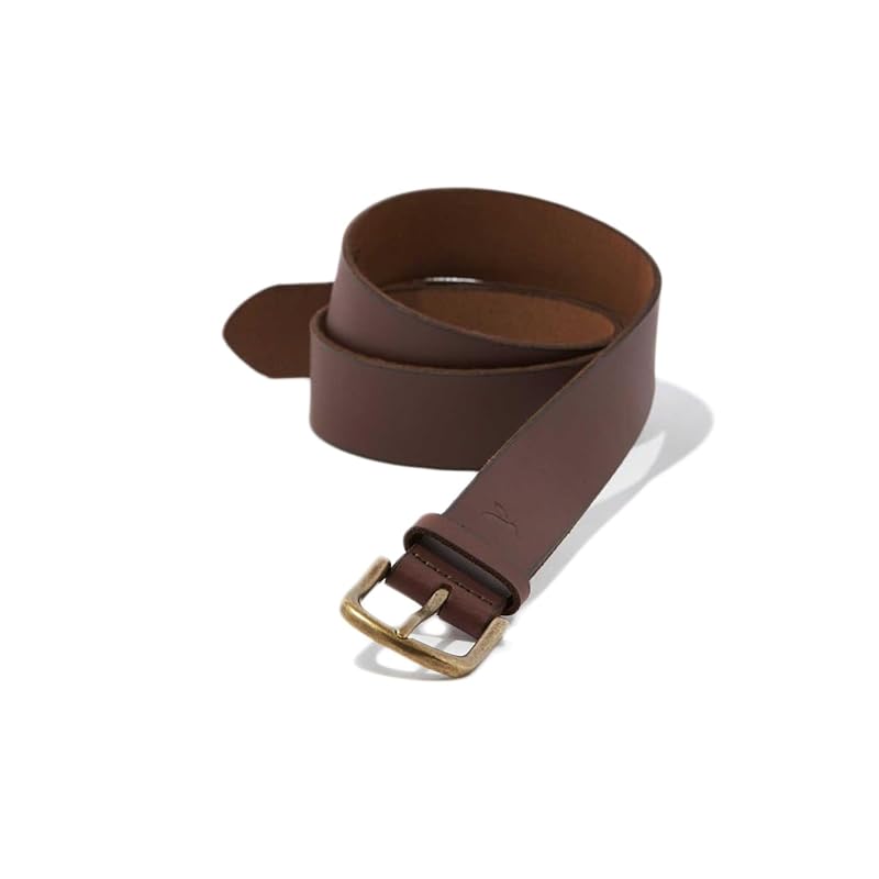 

[American Eagle] men s Men s leather belt AE Leather Belt (Brown, 30) [product]