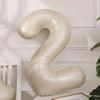 Shiluode Ins First Birthday Outdoor Party Scene Decoration Photo Props, Cream Style 40-Inch Digital Balloon 2