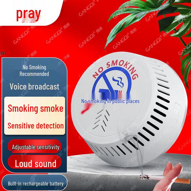 Voice Alert No Smoking Smoke Detector Alarm