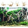 Tfwadmx Aquarium Driftwood Natural Wood 4''-7'' Reptile Branch Fish Tank Tree Plant Stump Ornament Decor 4 PCS