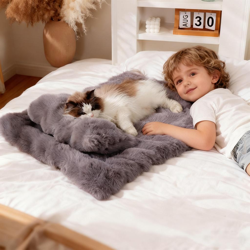 Pet Blanket, Thickened For Winter Warmth, Suitable For All Seasons, Cats Bed Blanket, Dog Blanket