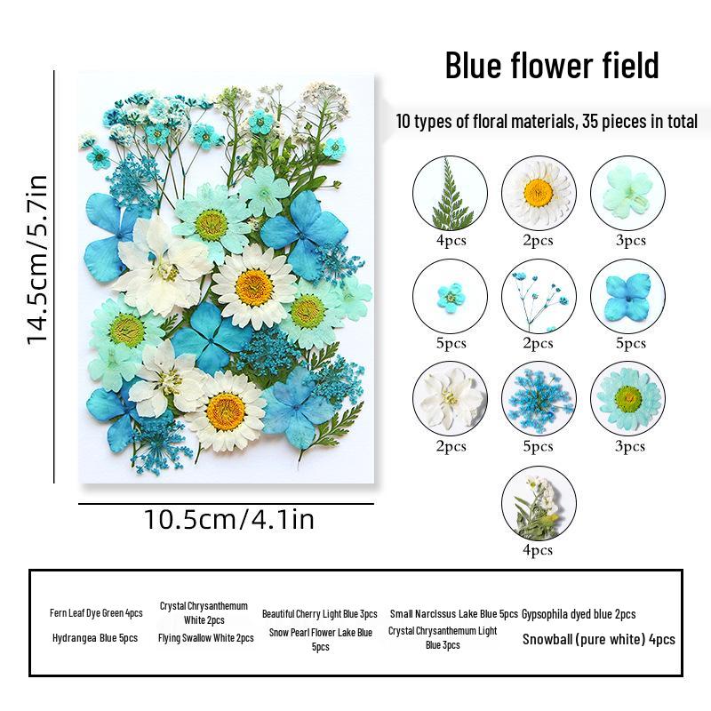 DIY Dried Flower Specimen Sticker Set for Kids: Handmade Pressed Flower Frames & Resin Bookmark Craft Kit