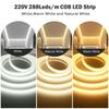 BMW 220V Dimmable COB LED Neon Strip Light Dimmer Switch Plug Kit Waterproof 288 LED Flex Tube Lamp Hight Bright Warm/Natural White