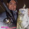Morris Varivas Seabass Shock Leader, Nylon, 30m, 15kg, 30lb, Natural